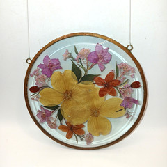 Pressed Flowers Under Glass Sun Catcher Dogwood Pink Purple Beige 6 inches