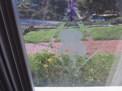 Etched Iris Suncatcher Braithwaite Studios