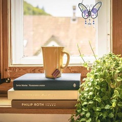 Butterfly Suncatcher with Pressed Colourful Flower Wings Mother’s Day Butterf…