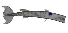 Vintage Stained Glass Sun Catcher Barracuda Fish Studio Art Whimsical 35″
