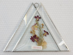 2 Vintage Dried Pressed Flowers Double Triangle Diamond Sun Catcher Lot Set