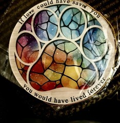Rainbow Bridge Window Ornament ~ Window Hanging Rainbow~Paw Print