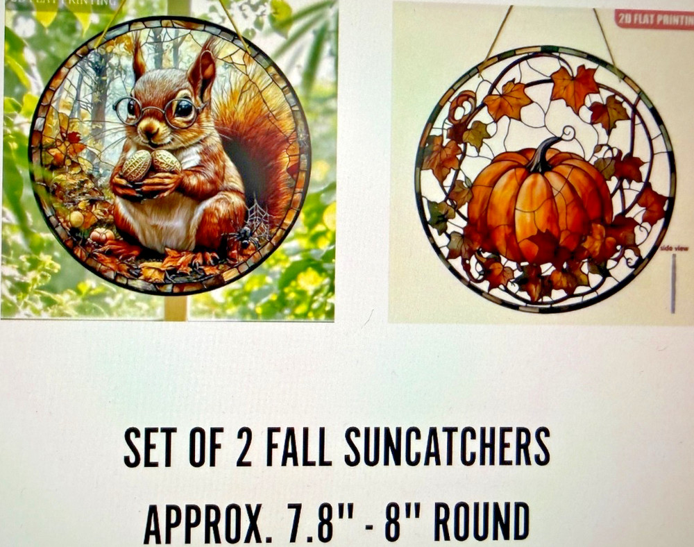 SET OF 2 – 2D Flat Acrylic 3 Pumpkins/ Squirrel hanging catcher 7.8″ Round