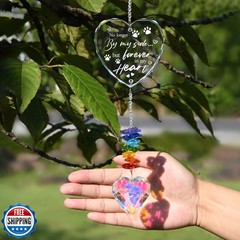 Pet Memorial Crystal Suncatcher Gifts for Loss of Dog/Cat, Window