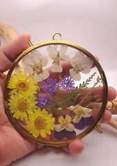Wall Art, sun catcher, Dried Pressed Flowers in 4 inch dia Glass frame circle,