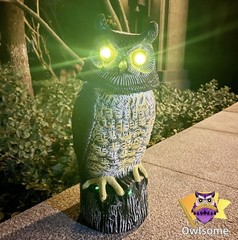 Solar Owl with Glowing Eyes, Rotating Head, Hoot Sound, Motion Detector and S…