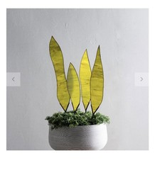 Stain Glass Plant Leafs