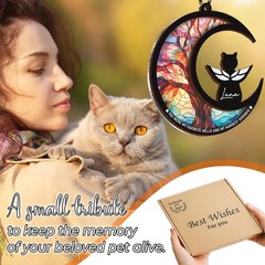 DIY Cat Memorial Suncatcher 4in1 Remembrance Gifts for Pet Loss