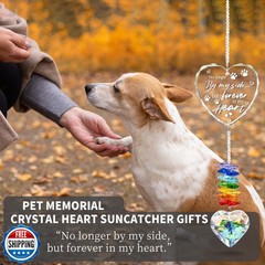 Pet Memorial Crystal Suncatcher Gifts for Loss of Dog/Cat, Window
