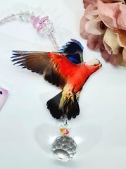 Kookaburra / Rainbow Bird Suncatchers, Crystal Suncatcher Gift, window hanging