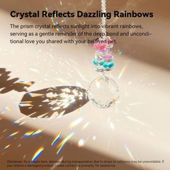 Sympathy Gifts for Dog Loss | Pet Memorial Crystal Suncatcher & Card