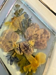 Double Diamond Glass Light catcher by Linda Hangs & dried flowers in purple yell