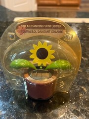 RED Solar Dancing SUNFLOWER Sun & Light Powered BOBBLEHEAD