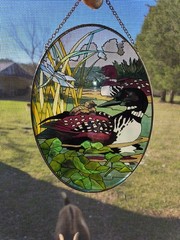 Stained Glass Window Suncatcher Wildlife Ducks Duckling Dragon Flies