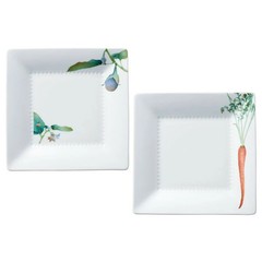 Square Plate Pair Set Noritake Japanese Tableware 1620-35LP94542 (N From Japan