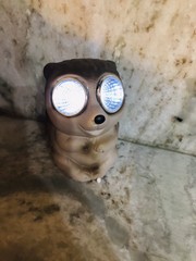 Solar Powered LED Light Up Decorative Stoneware-Racoon-ShipN24hours