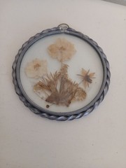 Vintage Dried Pressed Flowers 4.5″ Metal Frame Beveled Glass Cottage Core