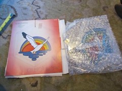 Seagull Glass Sun catcher By Crystal Illusions NEW