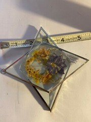 Double Diamond Sun Catcher w/ Dried Flowers Purple, Yellow , Green by Linda