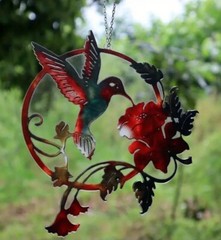 Indoor Outdoor Two Sided Hanging Acrylic Hummingbird Pendant