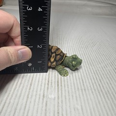 Turtles For Outdoor In Door. Lot of 2 Very Detailed And Cute. Silly Resin