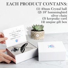 Hummingbird Memorial Gifts for Loss of Loved One, Unique Sympathy Idea, Clear…
