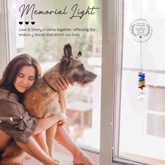 Pet Memorial Suncatcher Dog & Cat Remembrance Gifts Sympathy Bereavement