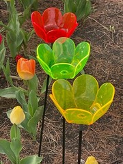 Suncatcher Tulip Set of (3) 3″ x 1½” Solar Neon Fluorescent Red,Green.Yellow