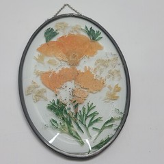 Pressed Flower Suncatcher Beveled Leaded Glass Frame Oval Preserved Bohemian