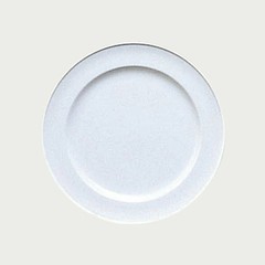 Noritake 5001 20.5cm plate 60011K5001 5001T60011K large plate From Japan
