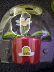 Solar Dancing Flower Daisy Sun Or Light Powered Bobble Head 2011