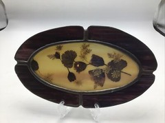 Suncatcher Slag Glass Dried Pressed Flowers Oval Frame Vtg 1970’s Signed Temme