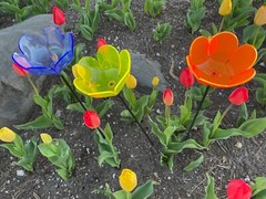 Suncatcher Tulip Set of (3) 4″ x 2½” Solar Neon Fluorescent Red,Yellow, Green