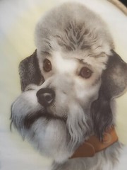 Stained Glass Dog Poodle Portrait Suncatcher