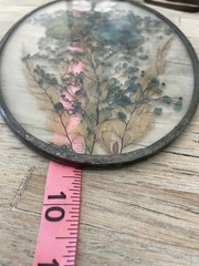 VTG Sun Catcher Glass Leaded Oval Pressed Flower Butterfly Botanical 6” x 9.5”