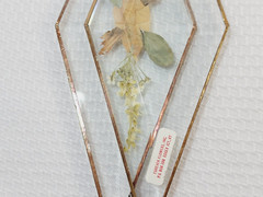 2 Vintage Dried Pressed Flowers Double Triangle Diamond Sun Catcher Lot Set