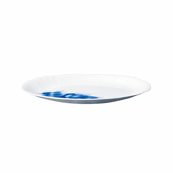 Blue Rose Janet 23cm Plate Microwave Safe A perfect gift for some From Japan