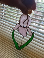 Handmade Stained Glass Purple-Cream Iris Window Suncatcher 8.5″ X 4.5″ GC