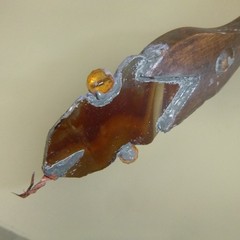 suncatcher