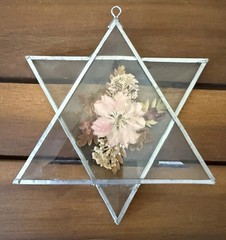 Jewish Star Of David Pressed Flowers Suncatcher 5 In. Vtg Home Decor