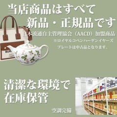 Noritake 5001 cup (cup only) brand Western tableware luxury fashion From Japan