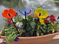 Suncatcher Tulip Set of (3) 4″ x 2½” Solar Neon Fluorescent Red,Yellow, Green