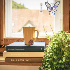 Butterfly Suncatcher with Pressed Colourful Flower Wings Mom Mother’S Day Butter