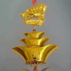 Feng Shui 2025 Horse Chinese gold Coins Money health Prosperity Good Luck Charm