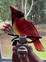 Stained Glass Cardinal Bird Nightlight 6.5” Long X 4” Wide Bulb Not Included