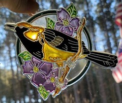 VIntage Sun Catcher Rainbow & Oriole Stained Glass Look Retro 80s