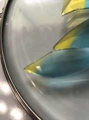 Blue and Yellow Dove Bird Beveled Glass  Suncatcher