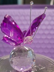 Purple Butterfly on A Clear Crystal Ball Sparkles In The Light