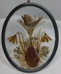 Rocky Mountain Wildflowers Dried Pressed Crocus Flowers Glass Framed Suncatcher