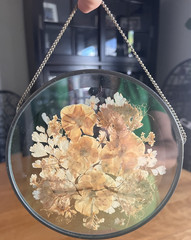 Gorgeous! Pressed Flower Beveled Stained Glass Suncatcher Round 6″ Diameter